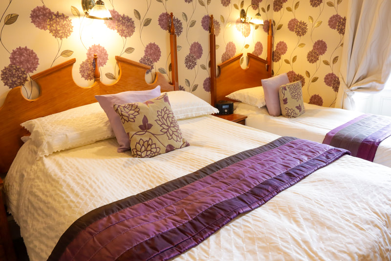 Twin bed and breakfast rooms at Gifford House Edinburgh, click here to book B&B